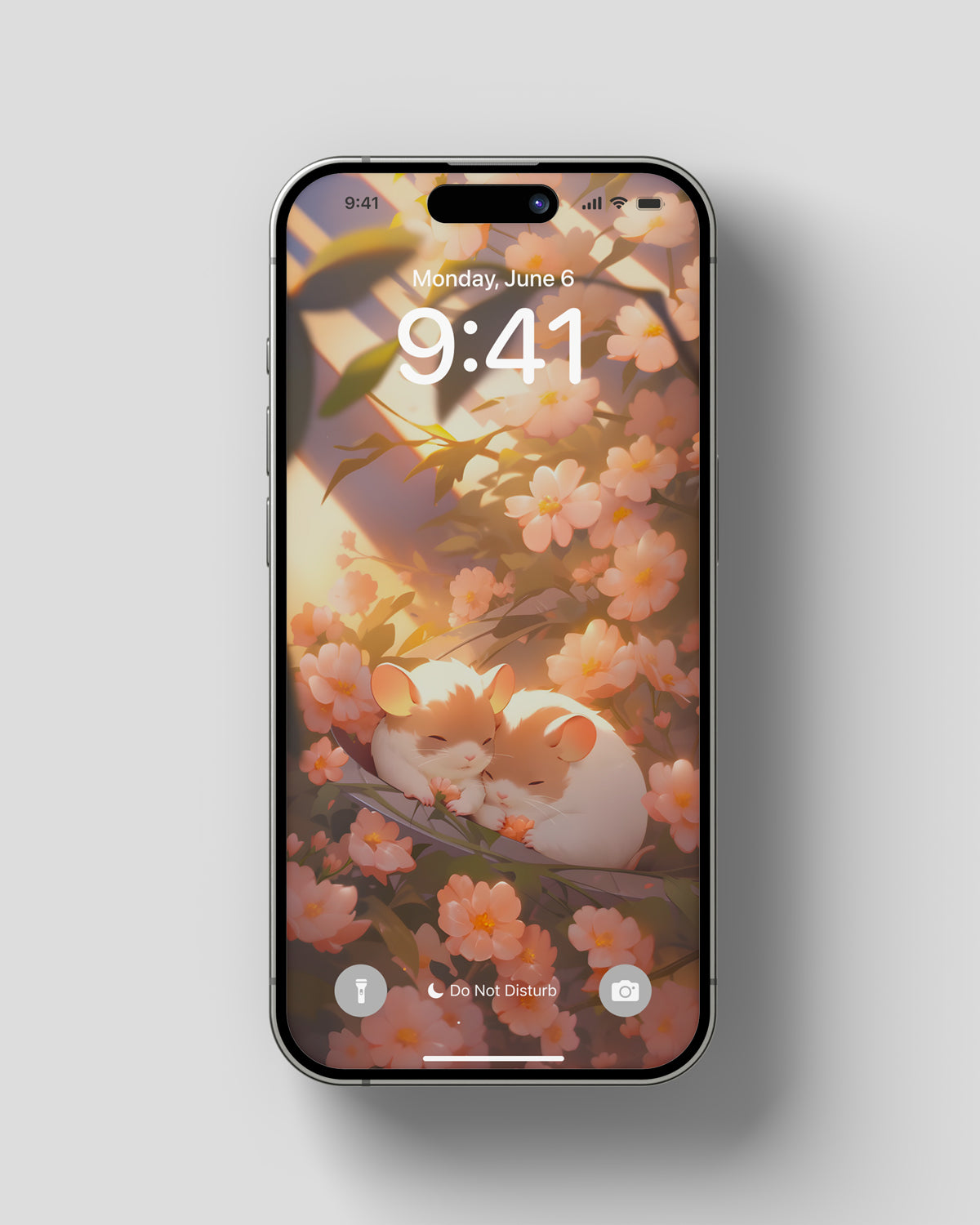 Phone Wallpaper Hamster
