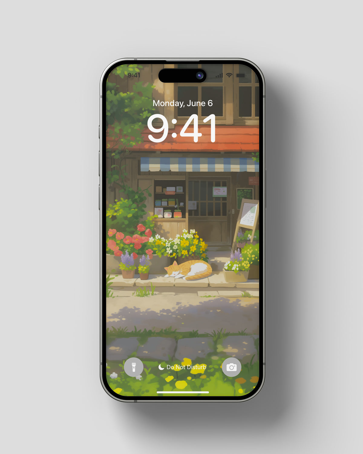 Phone Wallpaper Cat's Serenity in the Sun